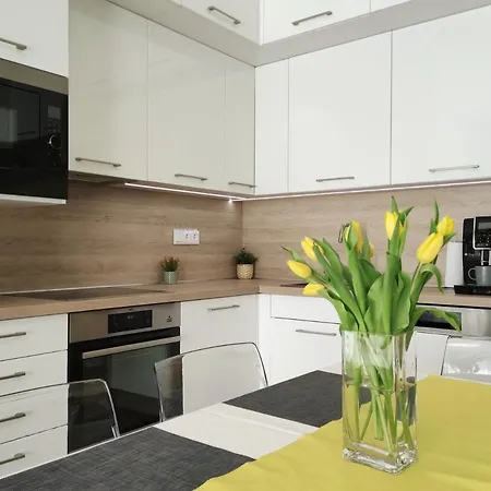 Nest2 Кестхей